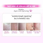 ژل کرم آبرسان واتر بیواکوا-عصاره گل داوودی - Image 2