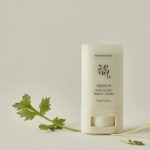ضدآفتاب استیکی بیوتی آف جوسان/Beauty Of Joseon Matte Sun Stick Mugwort+Camelia SPF 50+ PA++++ 18g - Image 3