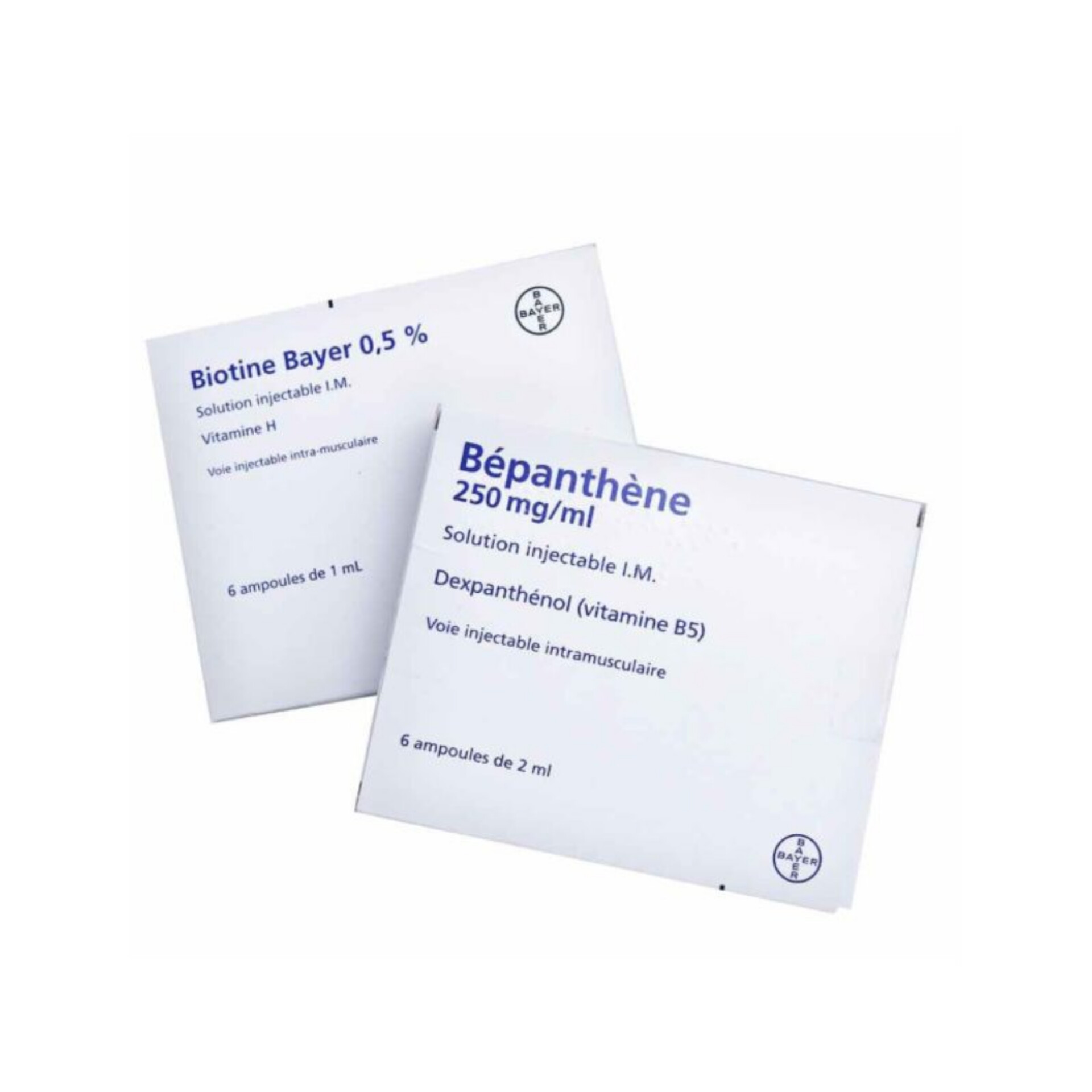 InShot_20241101_182450880