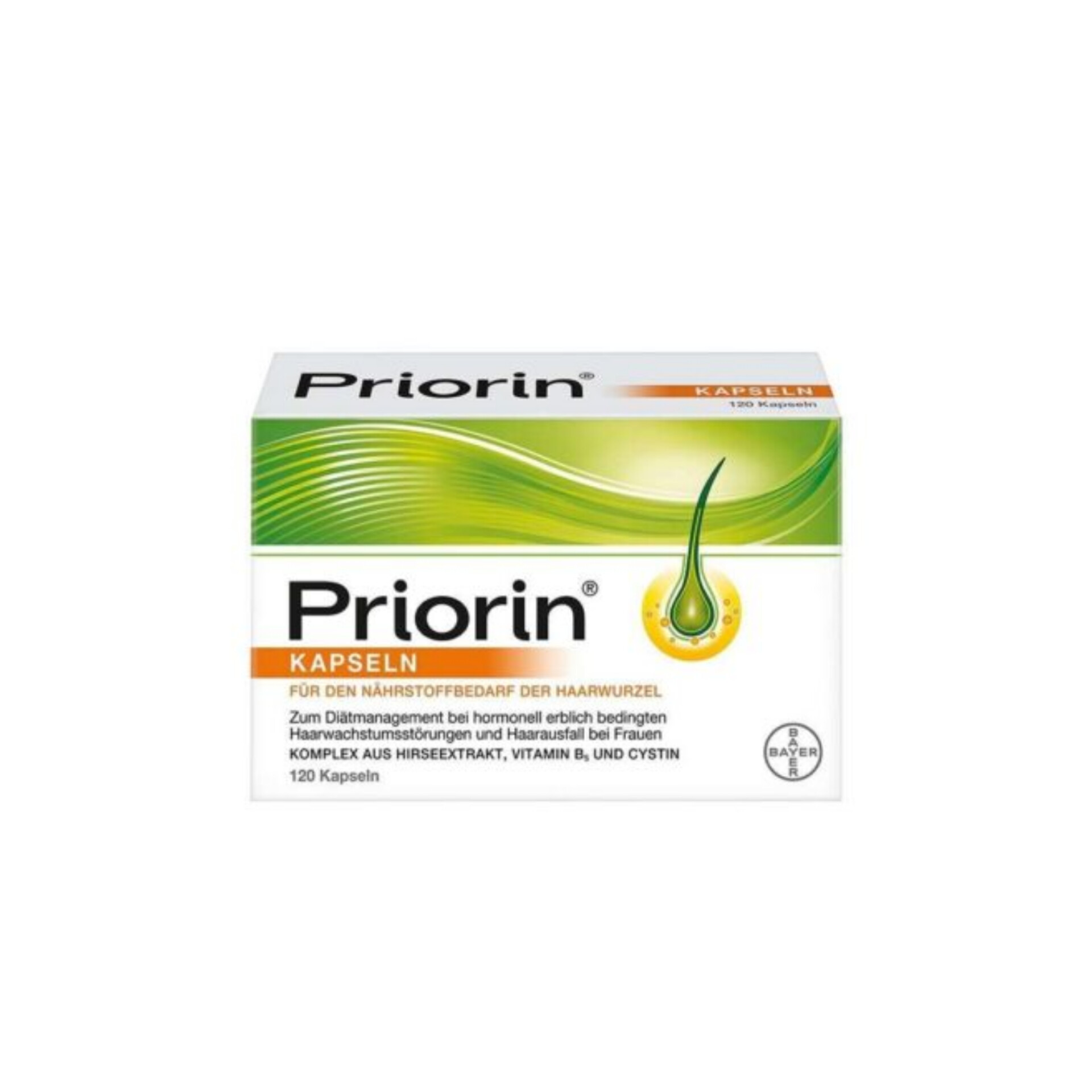 InShot_20241101_182756250