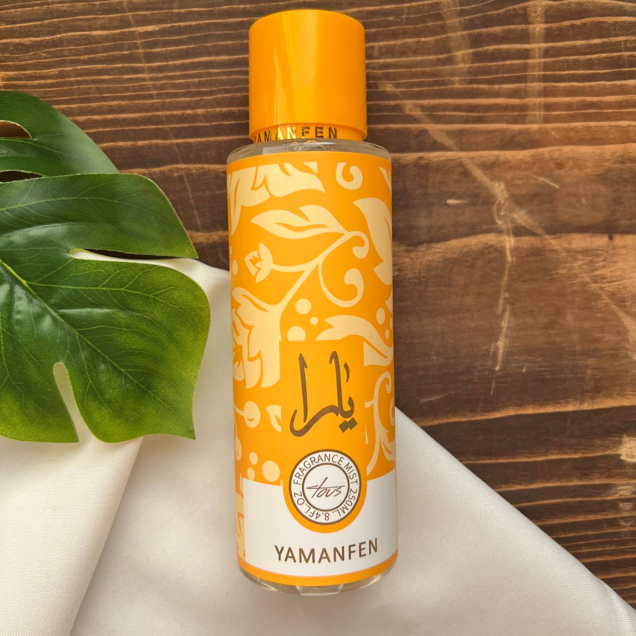 IMG_20241113_200743_636