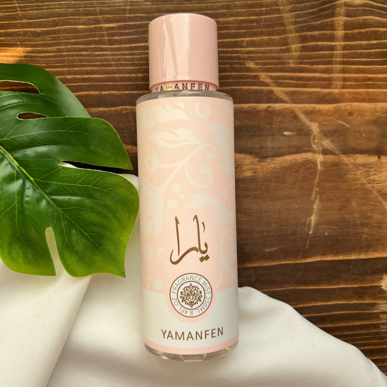 IMG_20241113_200743_940