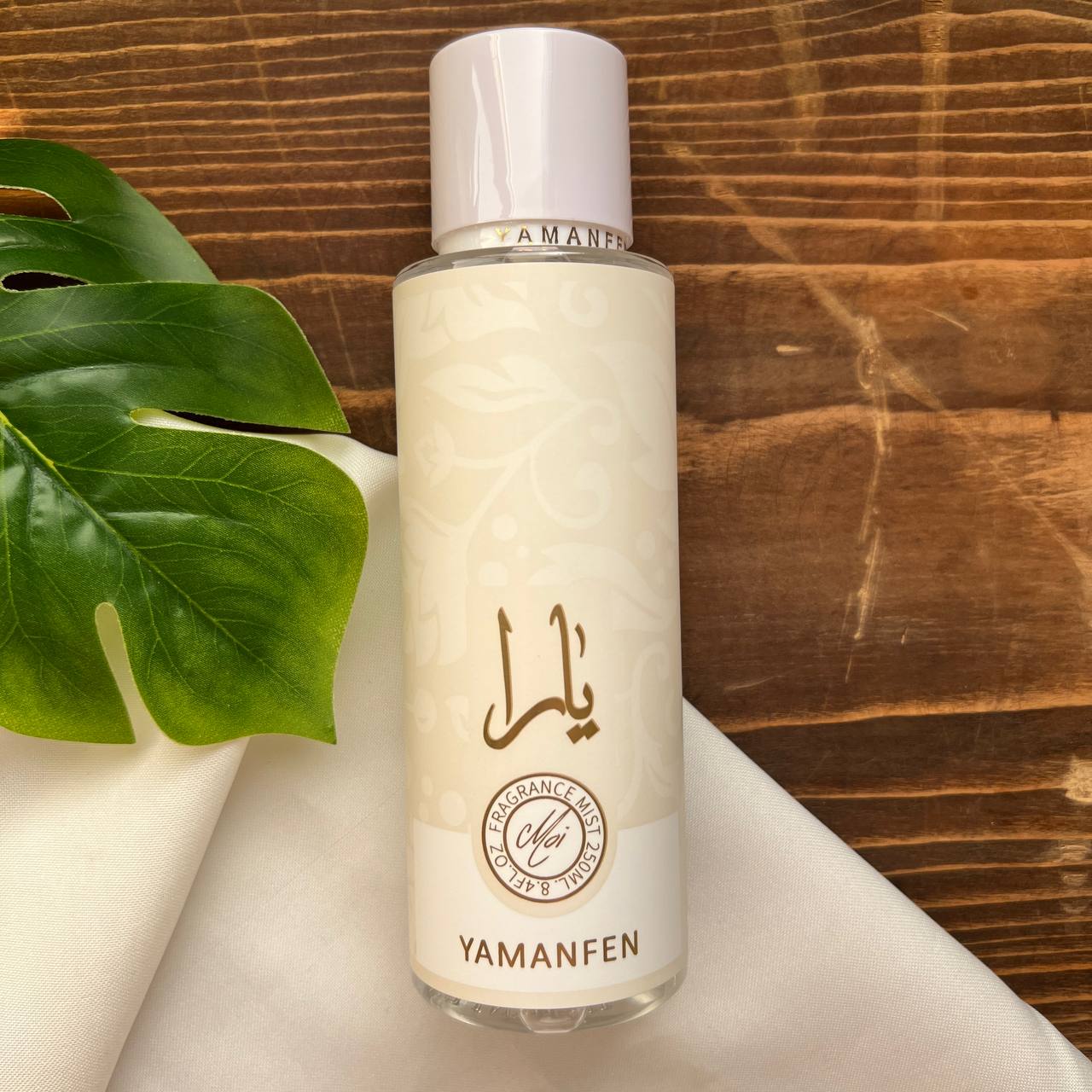 IMG_20241113_200743_959