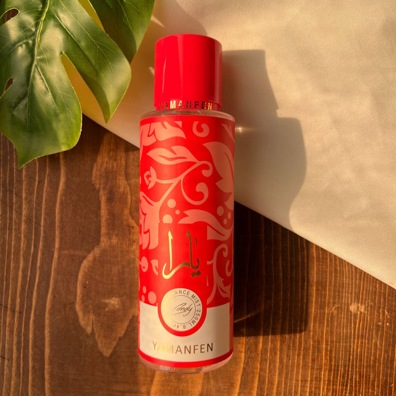 IMG_20241125_150148_837