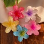 کلیپس مو پلومریا بزرگ