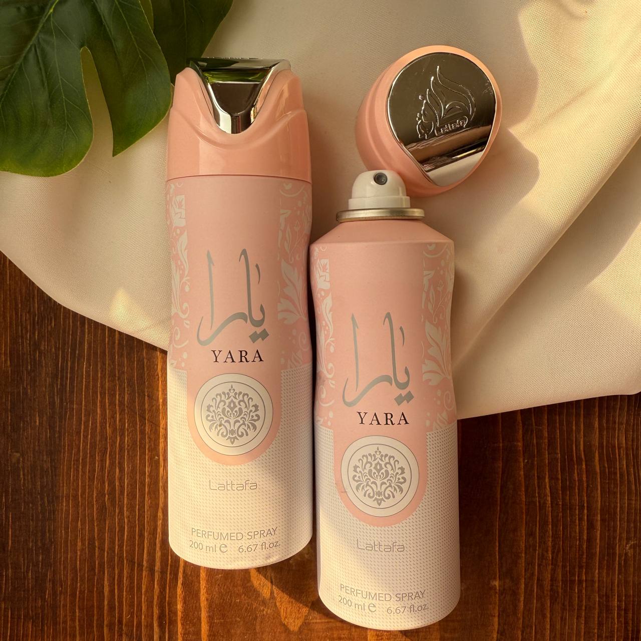 IMG_20241215_173558_353